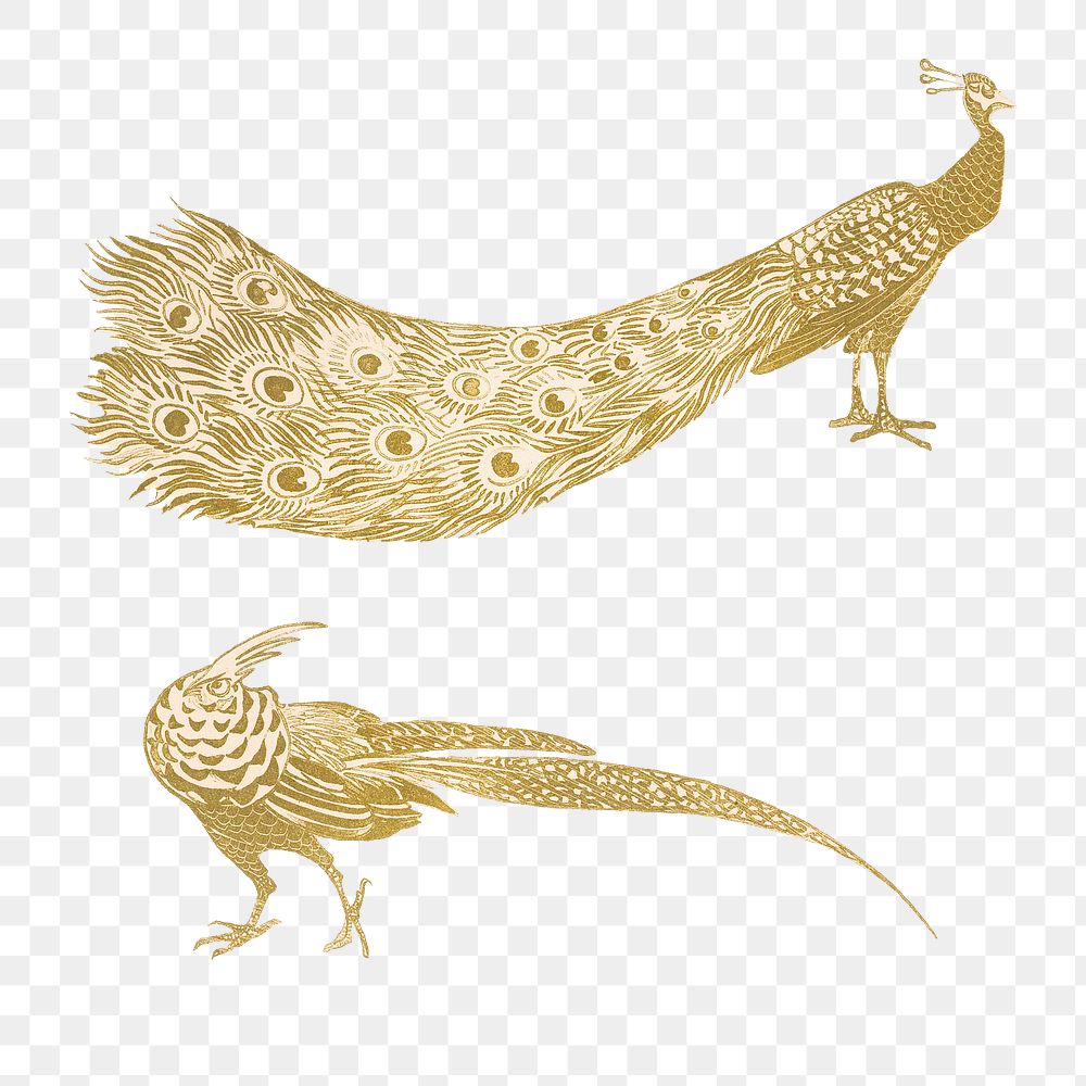 Vintage peacock and cock png art print, remix from artworks by Theo van Hoytema