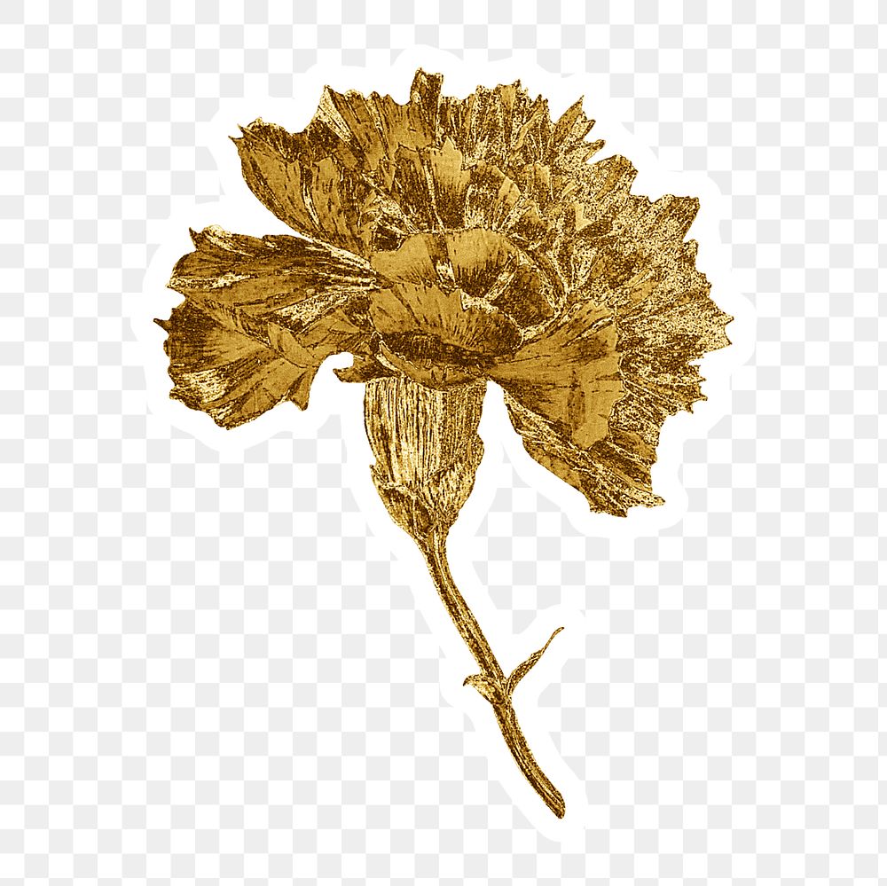 Gold carnation flower sticker with white border
