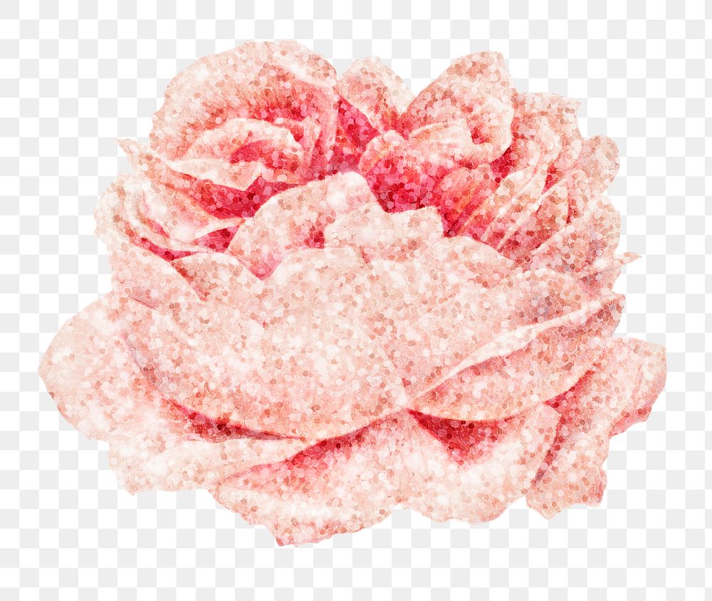Pink glitter rose flower design element