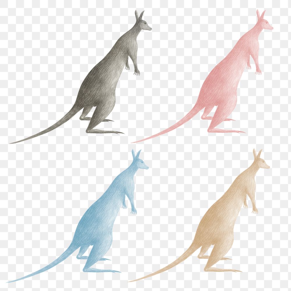 Colorful kangaroo vintage illustration set transparent png