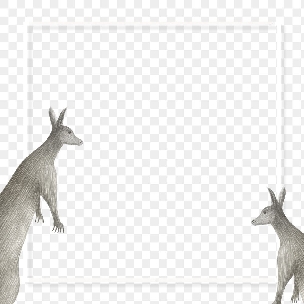 Kangaroo frame vintage illustration transparent png