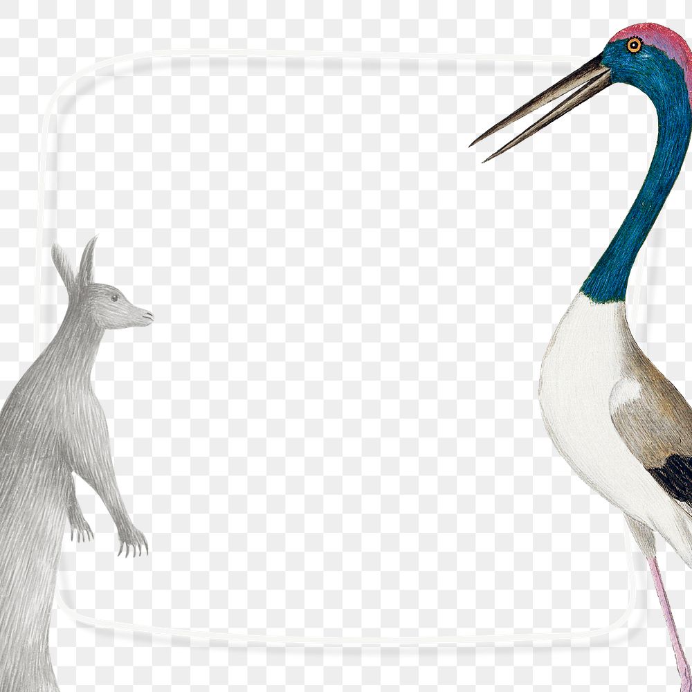 Kangaroo and black-necked stork frame vintage illustration transparent png