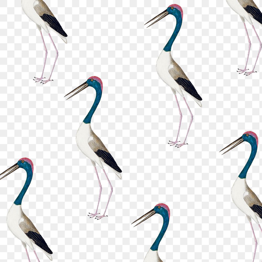 Long-legged wading bird vintage seamless patterned background transparent png
