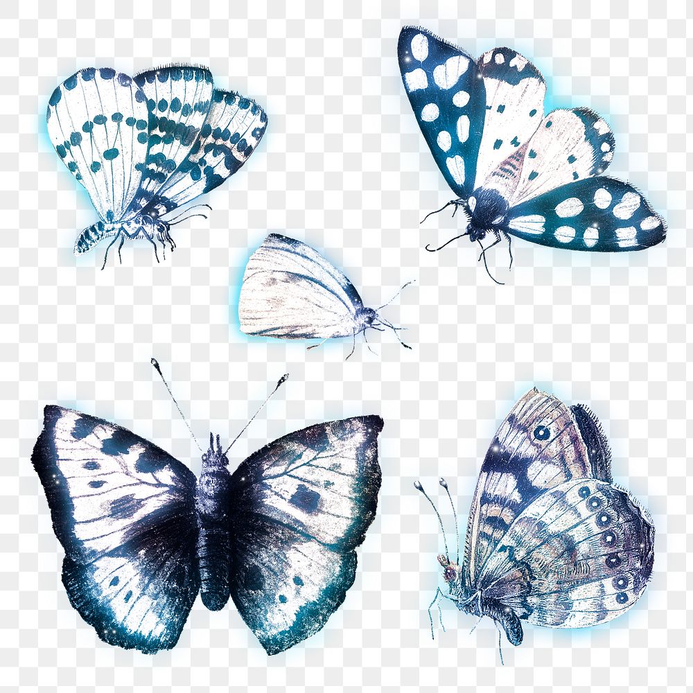 Butterfly outer glow vintage illustration set transparent png