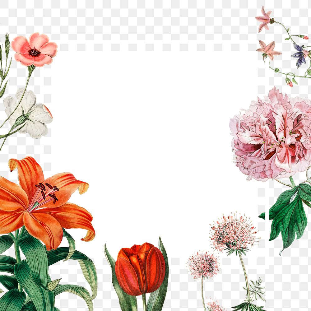 Floral frame png blooming flowers illustration drawing