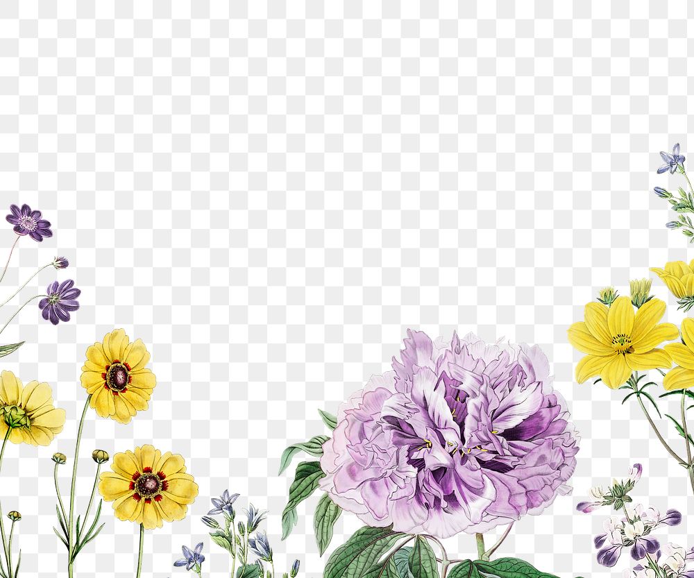 Floral border png blooming flowers illustration drawing