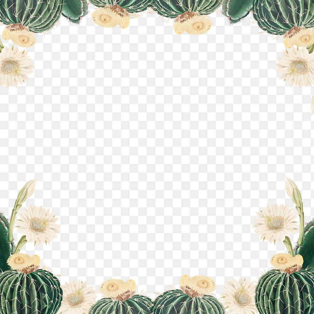 Vintage green cactus with flower frame background design element