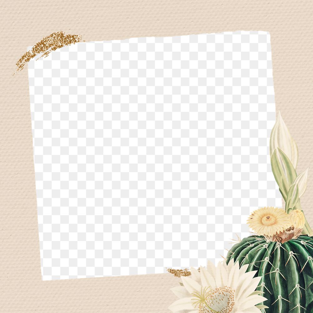 Vintage green cactus with flower frame on paper texture background design element