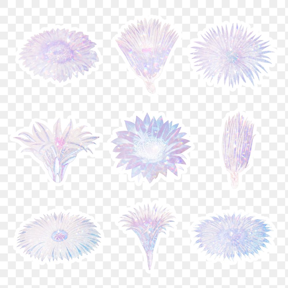 Holographic cactus flower sticker with white border collection