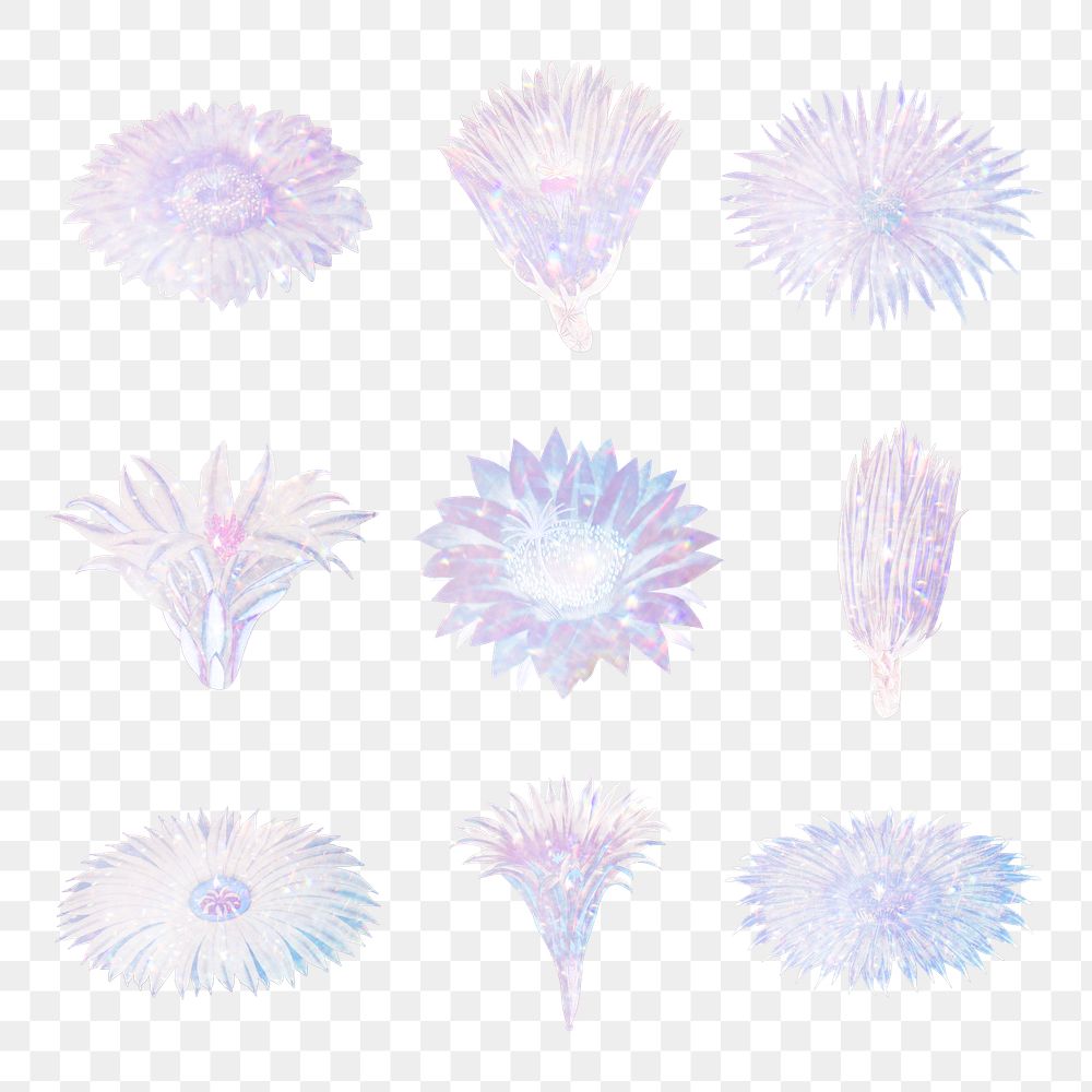 Holographic cactus flower illustration set