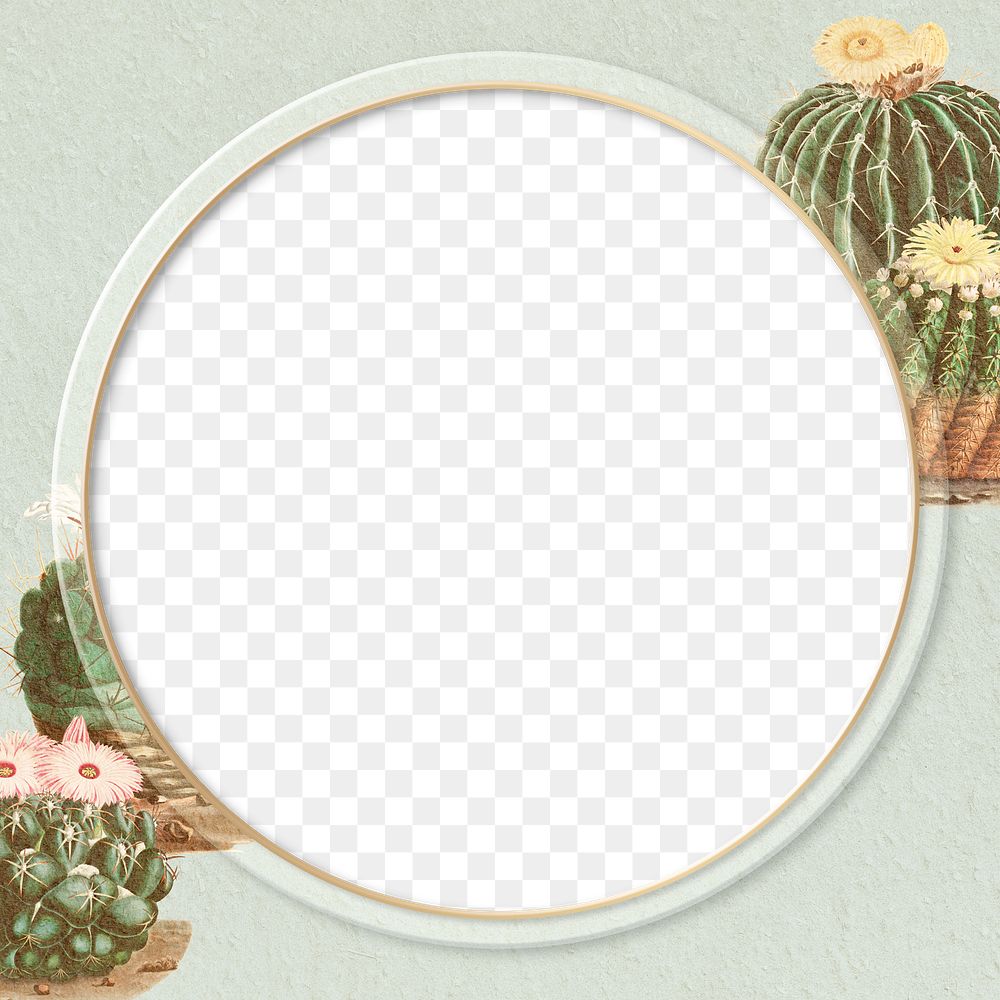 Round gold frame on vintage cactus background design element