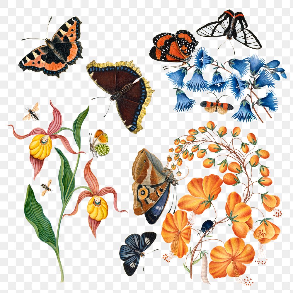 Animal, plant png sticker set, vintage birds, butterflies illustration, remixed from artworks by James Bolton
