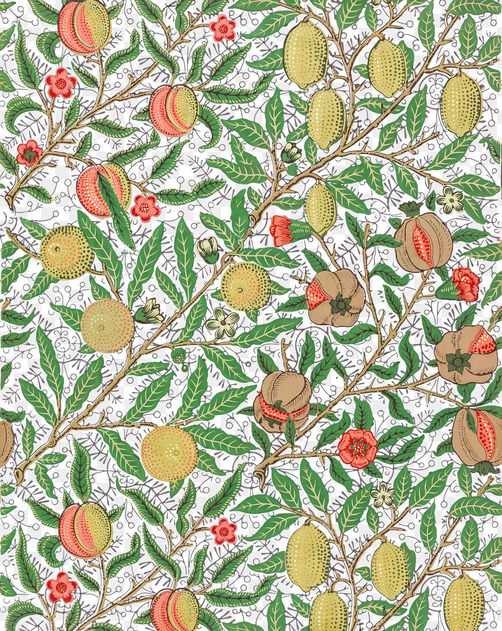 William Morris willow fruit background png, food pattern, vintage illustration