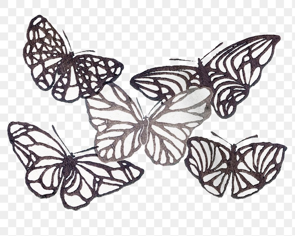 Vintage moth png clipart, hand drawn design, transparent background