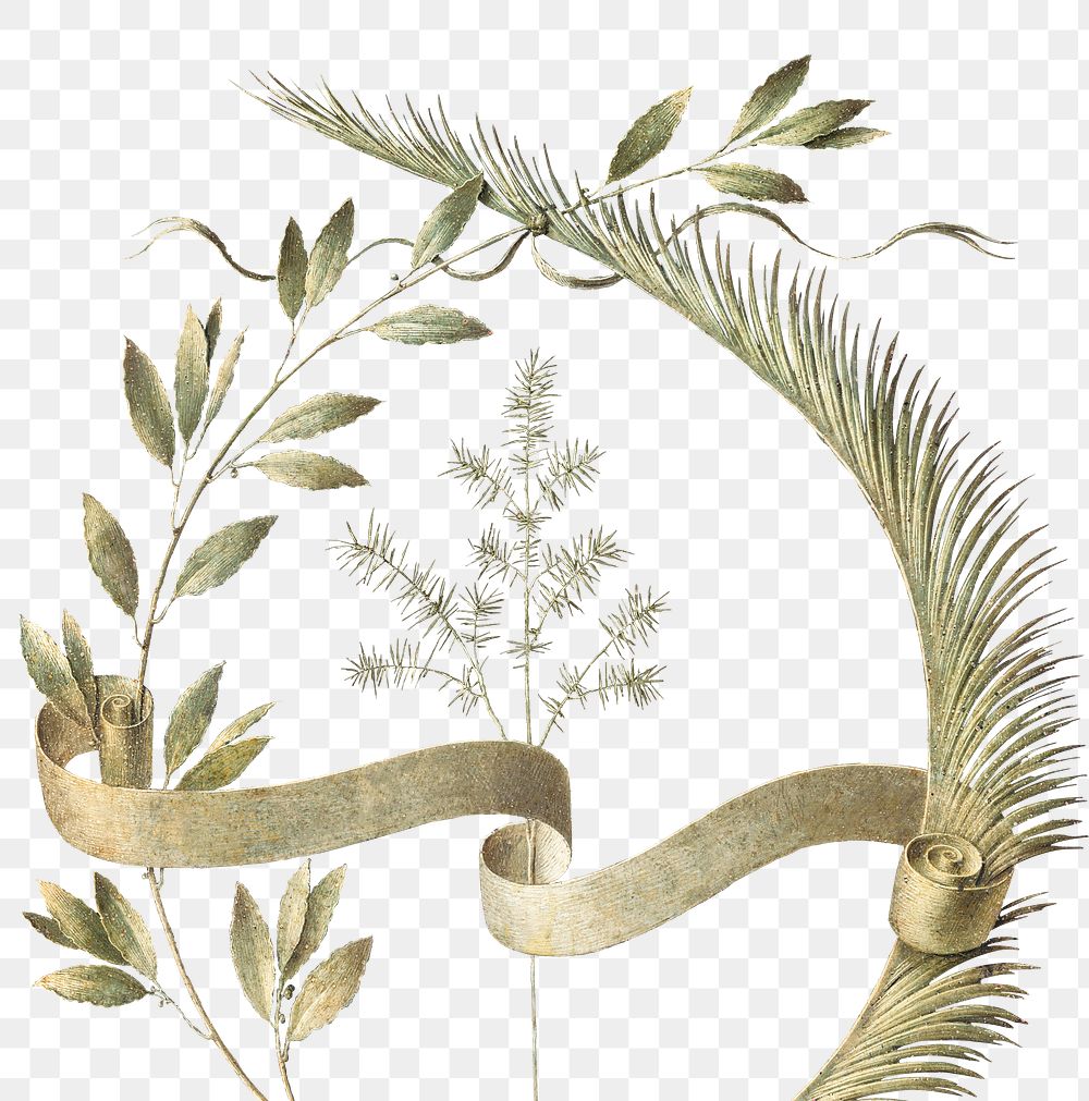 Laurel wreath png and ribbon, remixed from artworks by Leonardo da Vinci