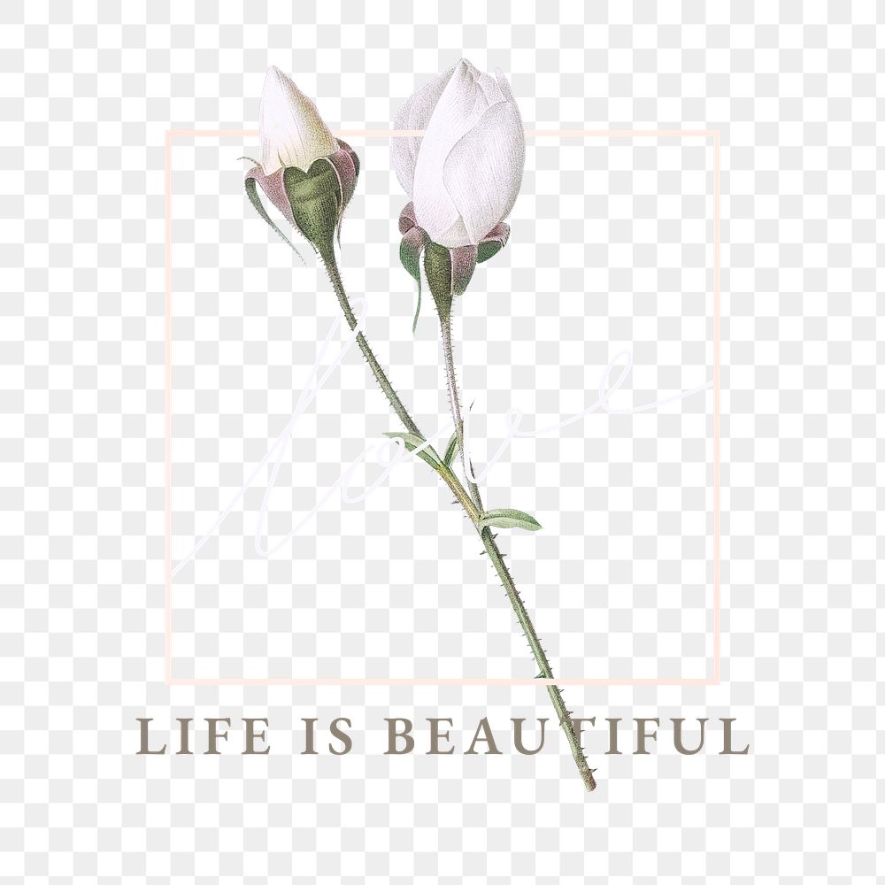 Floral love life is beautiful transparent png