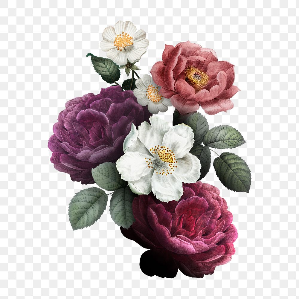 Beautiful hand drawn colorful roses | Premium PNG Sticker - rawpixel
