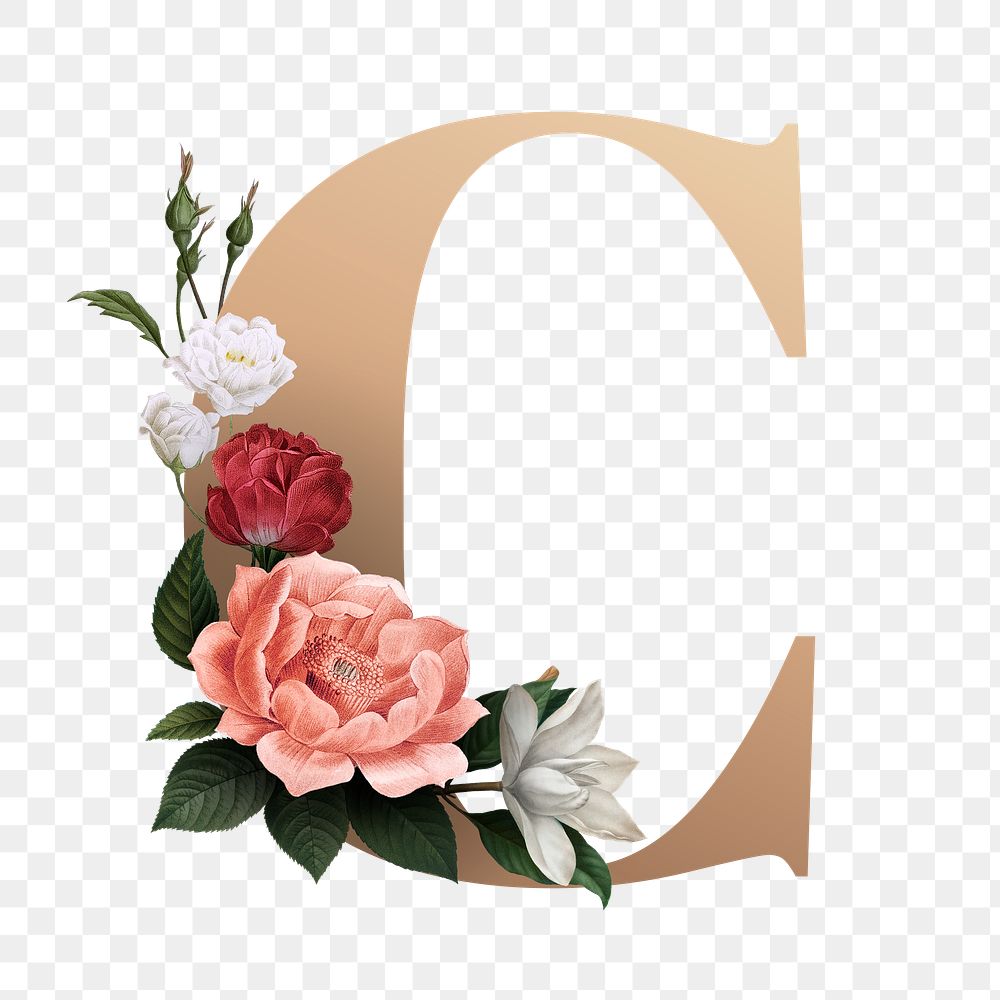Classic and elegant floral alphabet font letter C transparent png