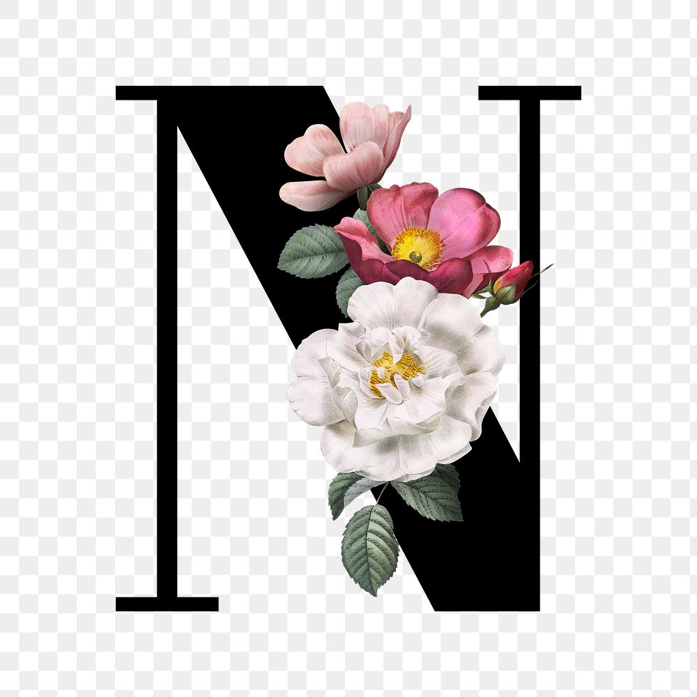 Classic and elegant floral alphabet font letter N transparent png