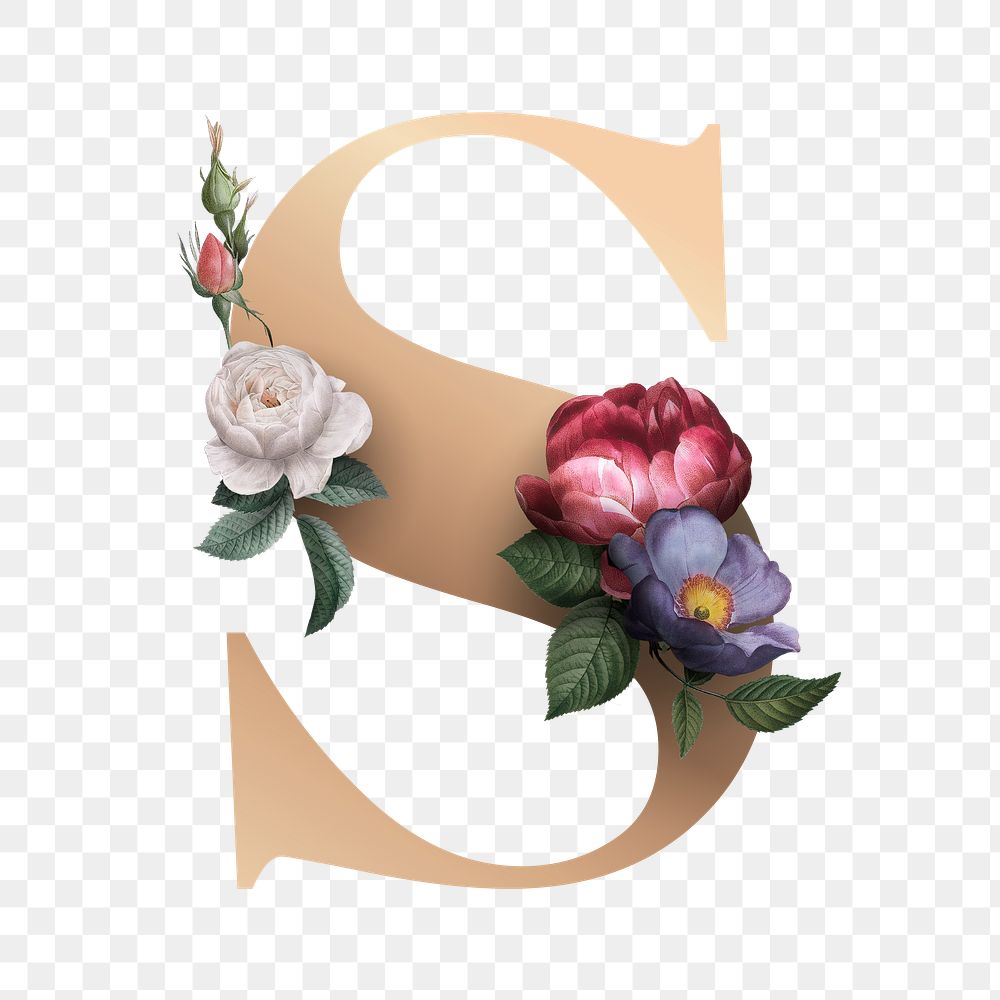 Classic and elegant floral alphabet font letter S transparent png