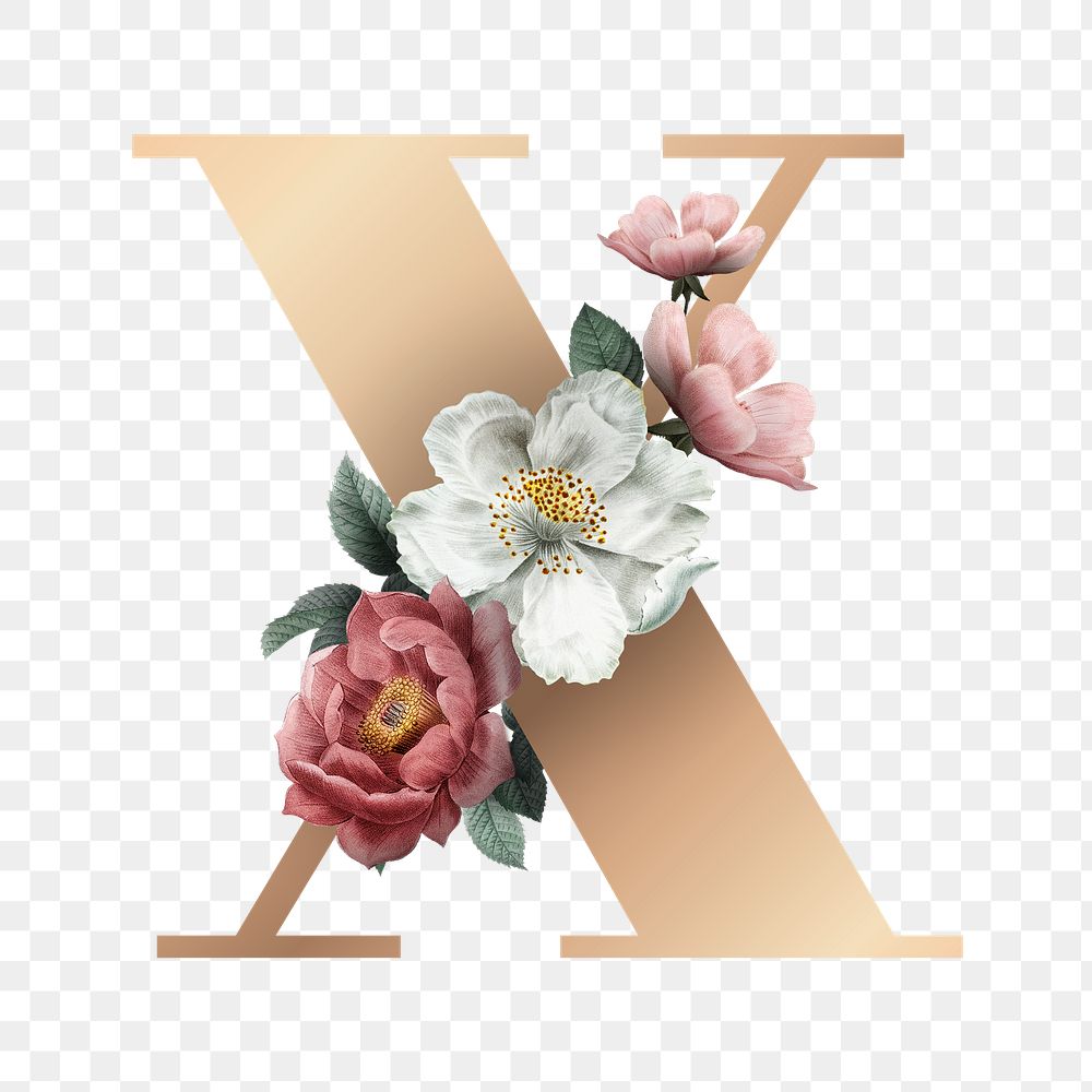 Classic and elegant floral alphabet font letter X transparent png