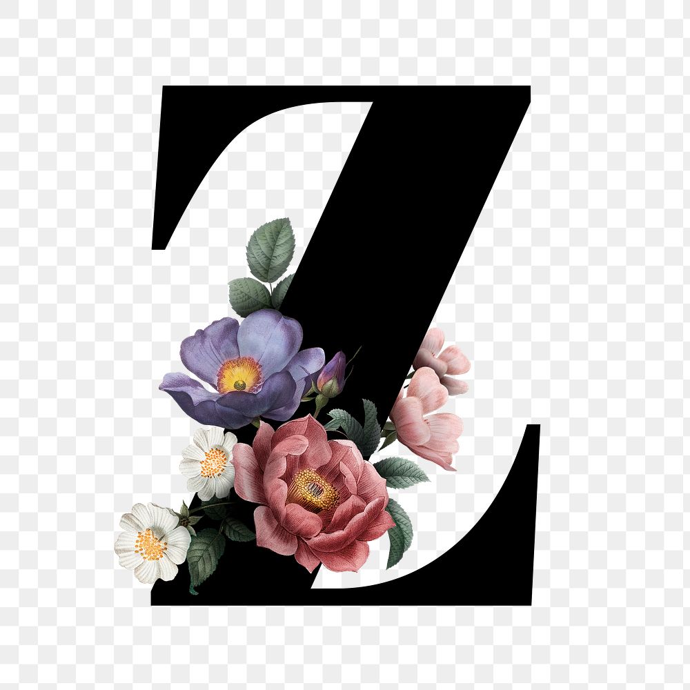 Classic and elegant floral alphabet font letter Z transparent png