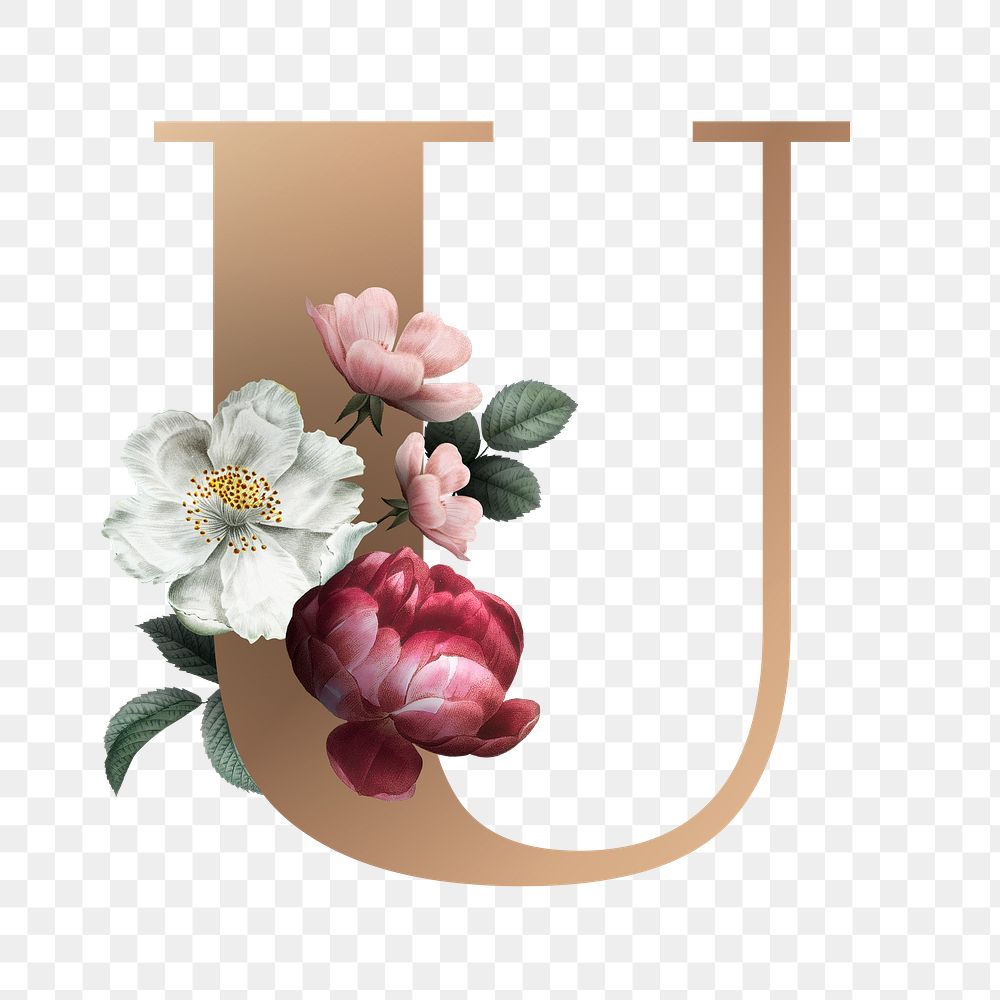 Classic and elegant floral alphabet font letter U transparent png