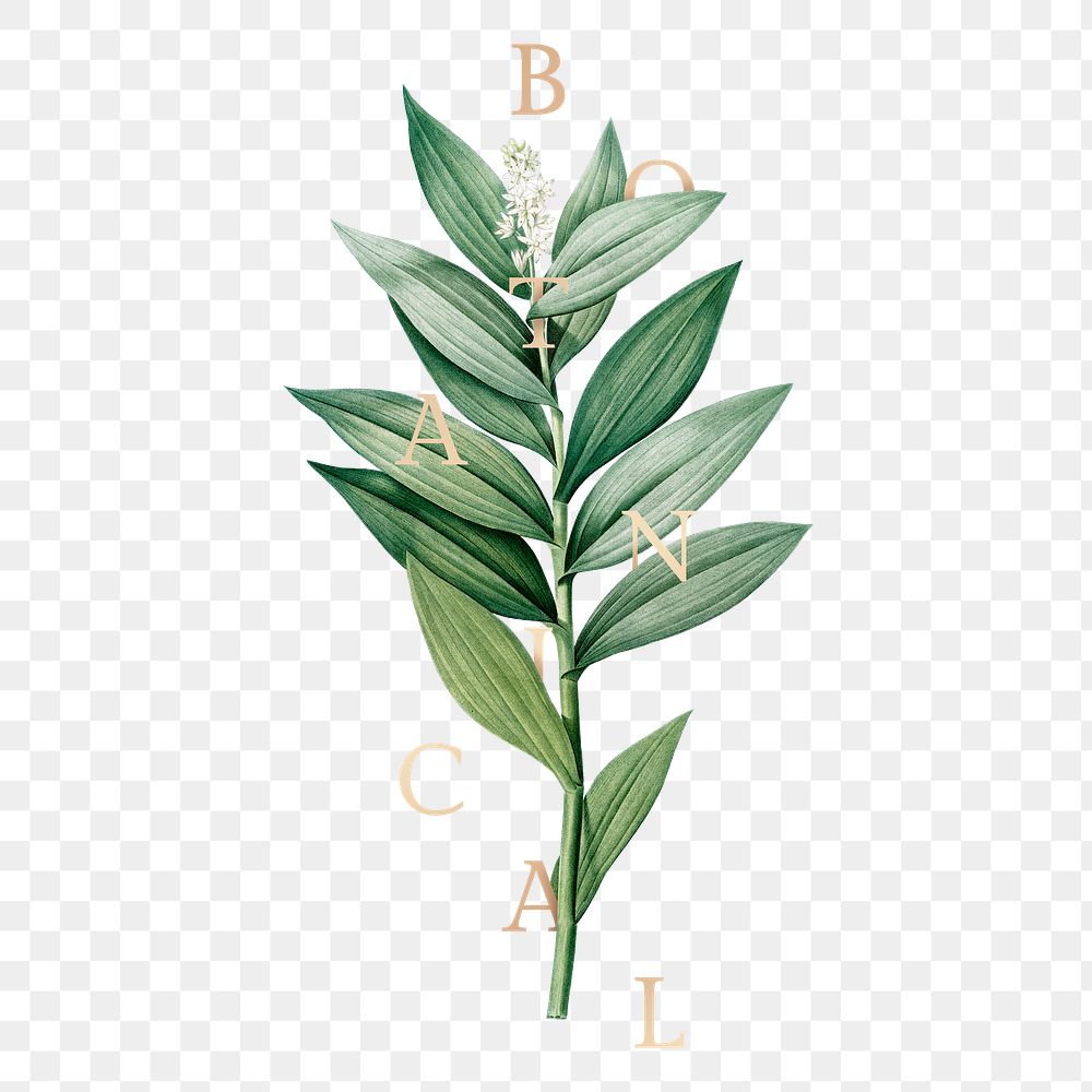 Tropical botanical leaves logo illustration