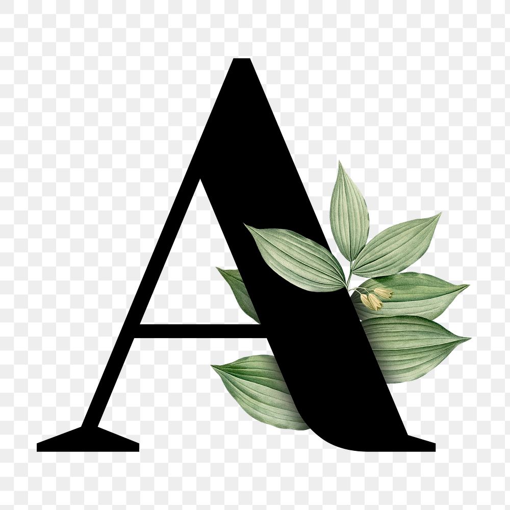 Botanical capital letter A transparent png