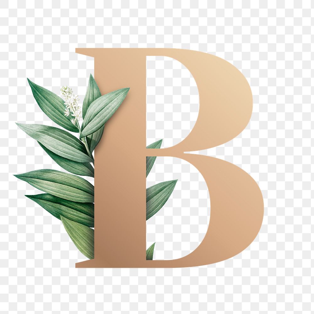 Botanical capital letter B transparent png