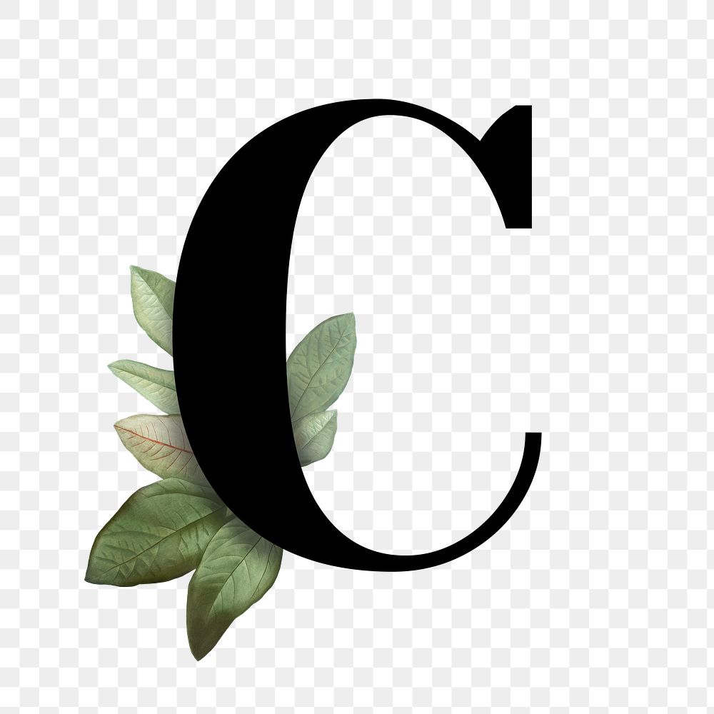 Botanical capital letter C transparent png