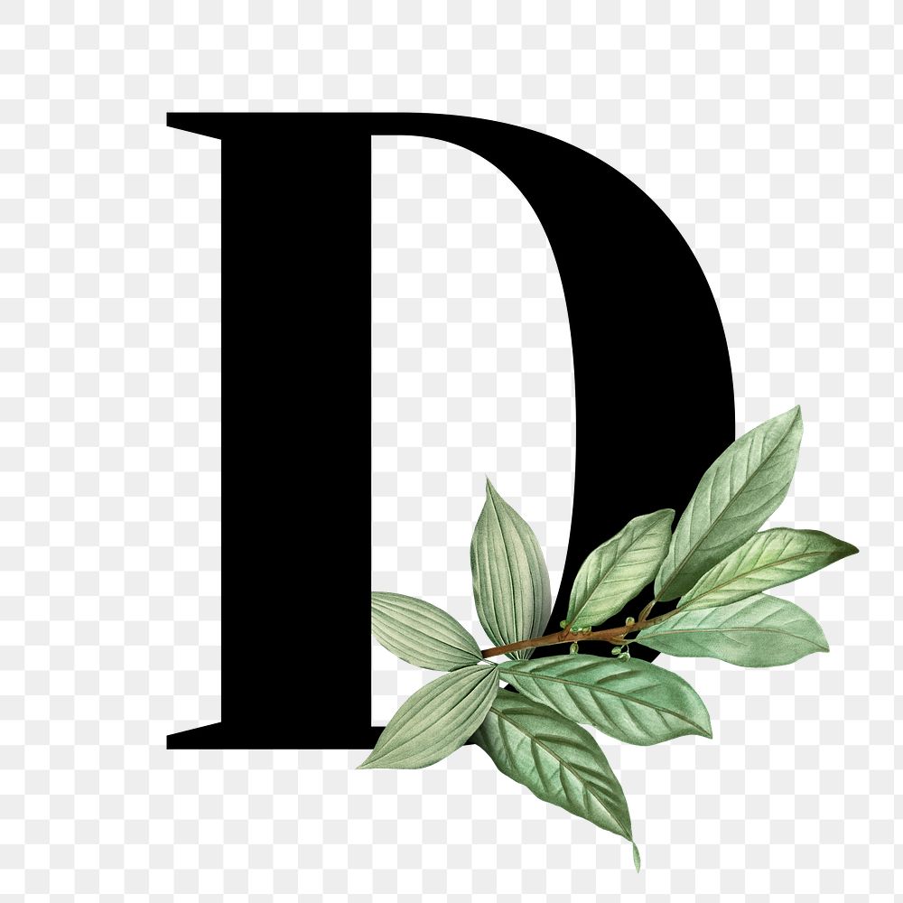 Botanical capital letter D transparent png