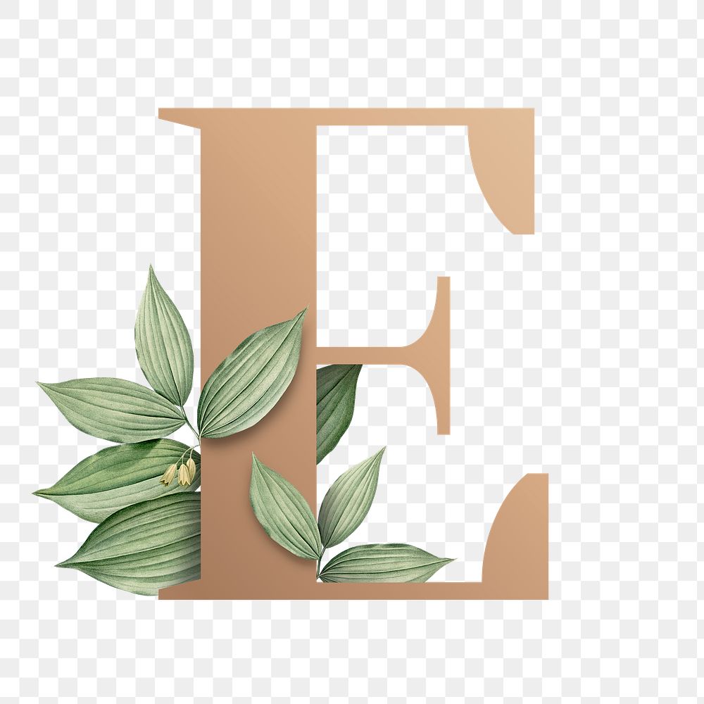 Botanical capital letter E transparent png