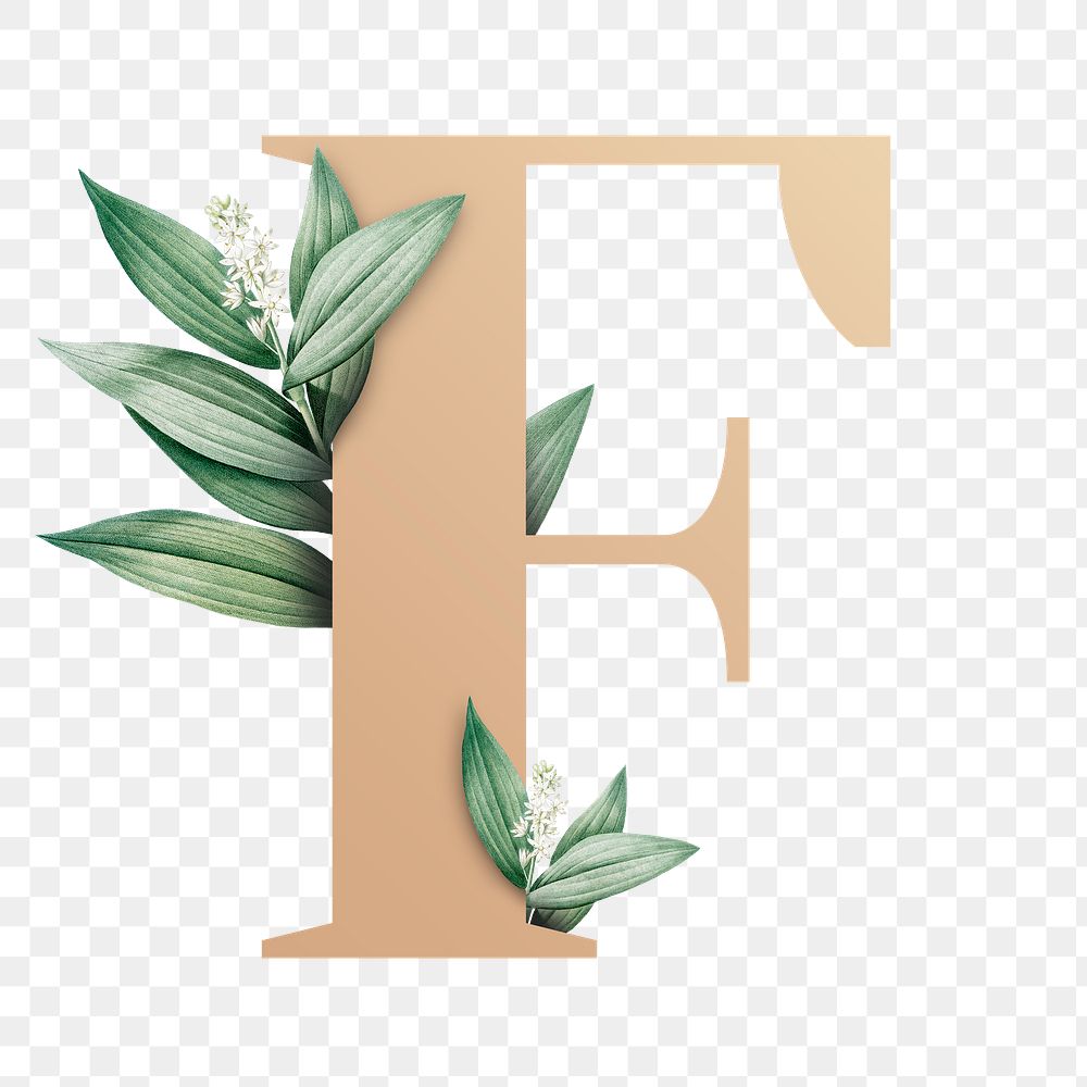 Botanical capital letter F transparent png