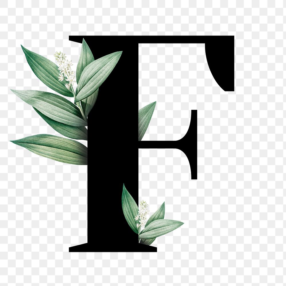 Botanical capital letter F transparent png