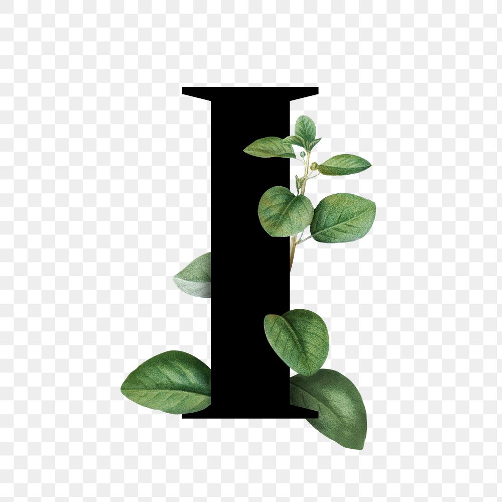 Botanical capital letter I transparent png