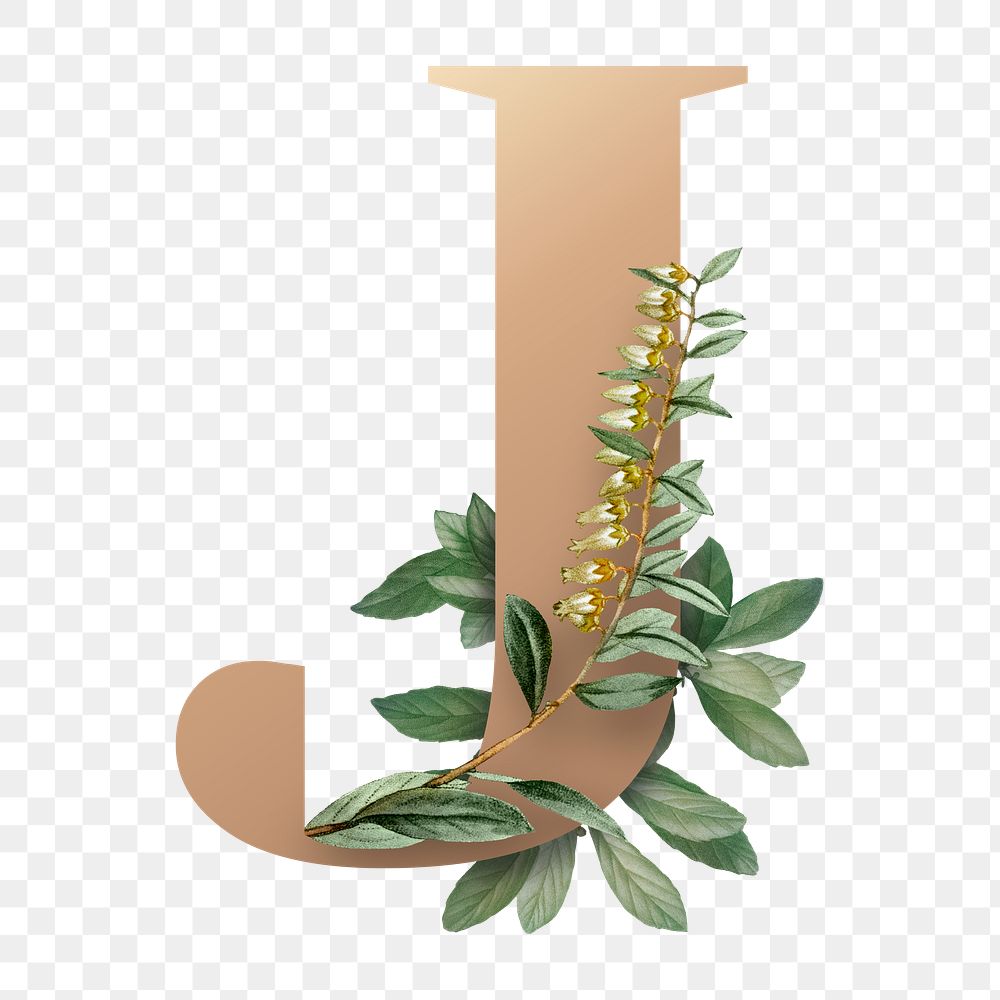 Botanical capital letter J transparent png