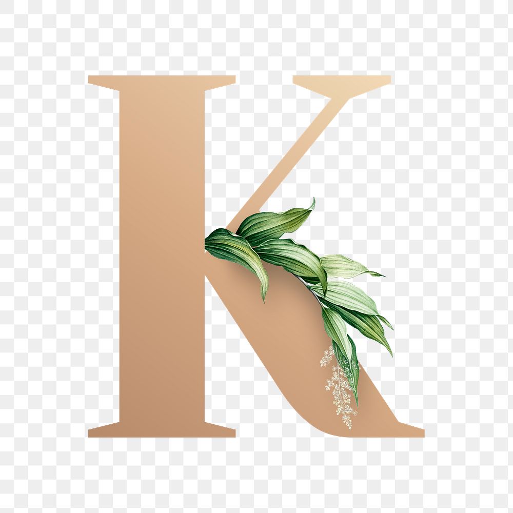 Botanical capital letter K transparent png