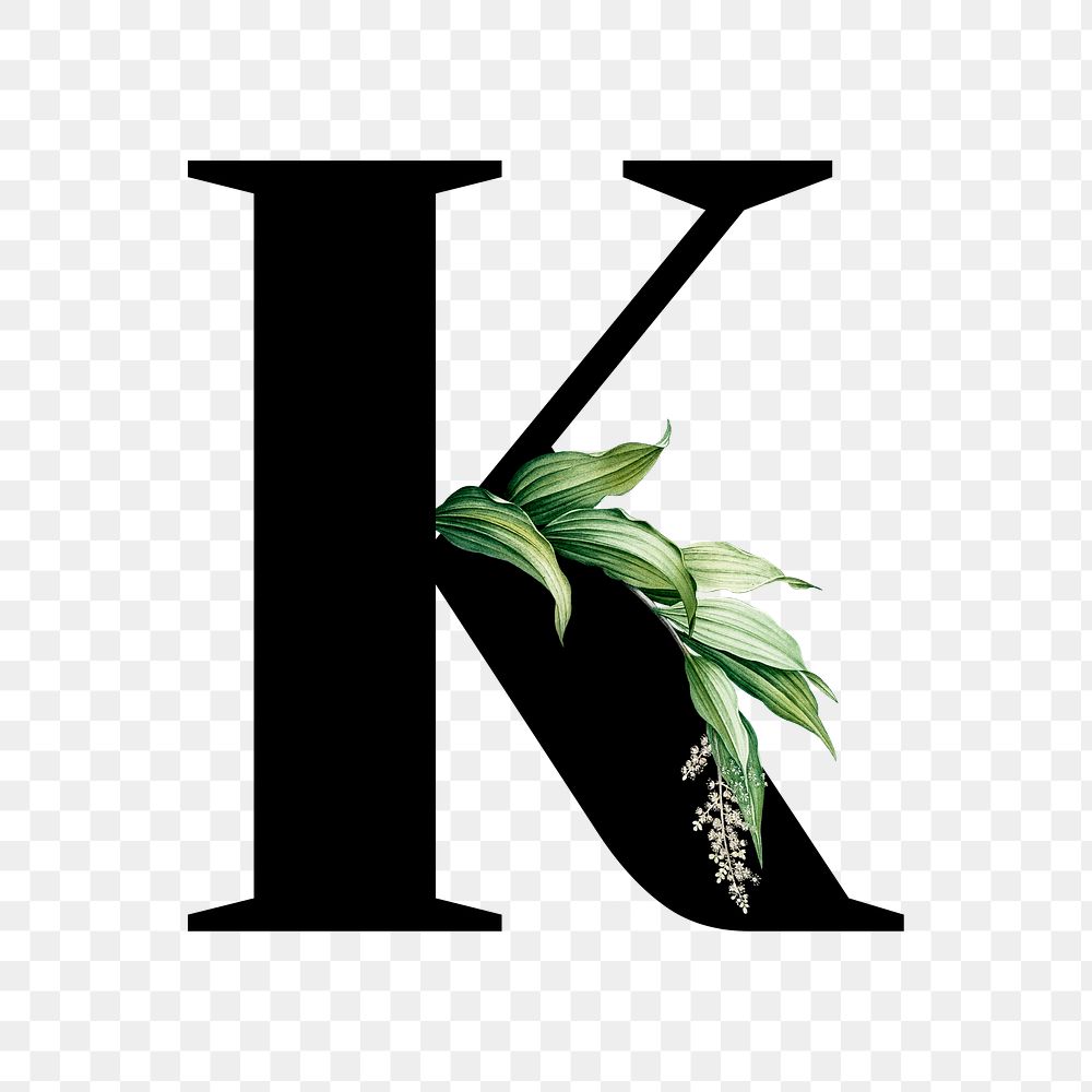 Botanical capital letter K transparent | Premium PNG Sticker - rawpixel