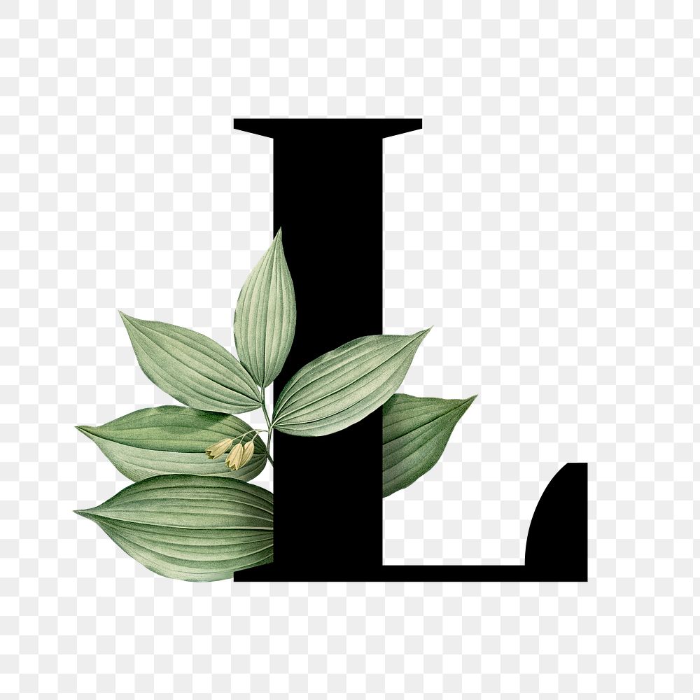 Botanical capital letter L transparent png