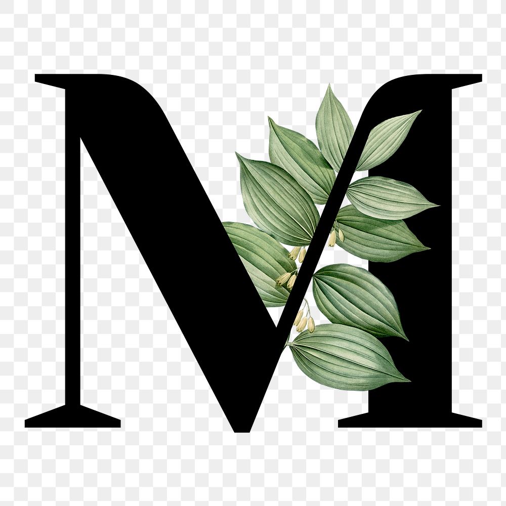 Botanical capital letter M transparent png