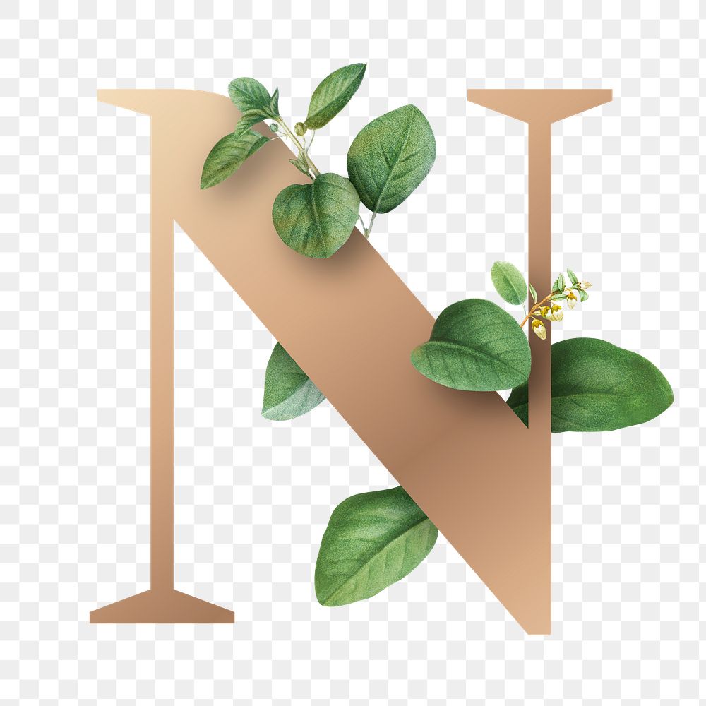 Botanical capital letter N transparent png