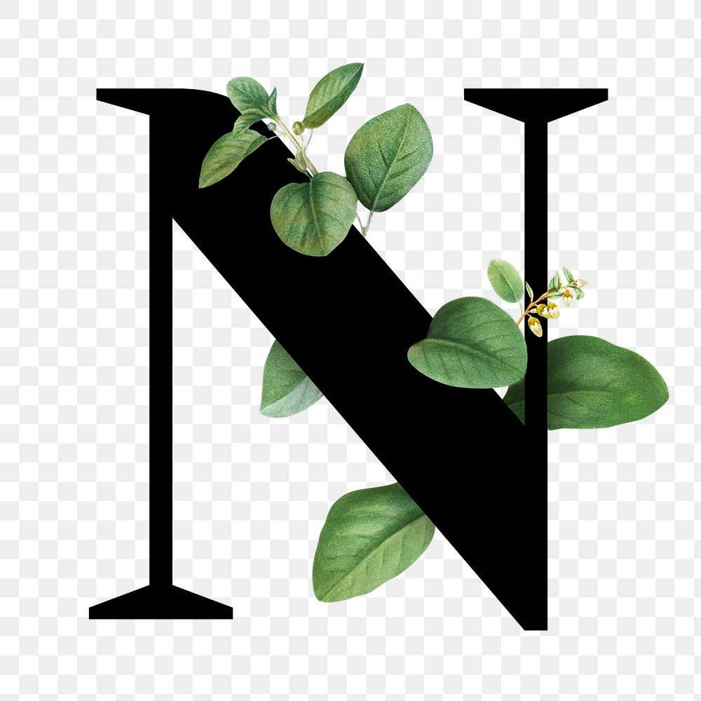 Botanical capital letter N transparent png