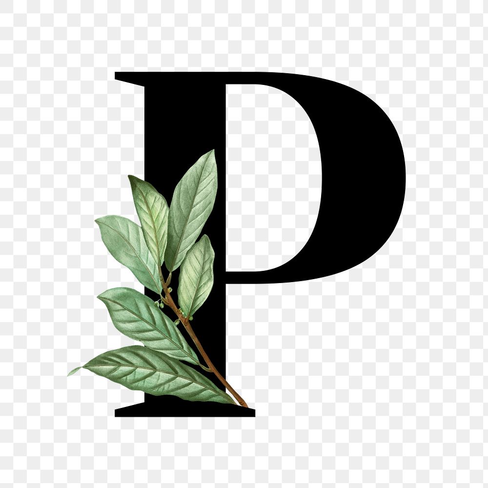 Botanical capital letter P transparent png