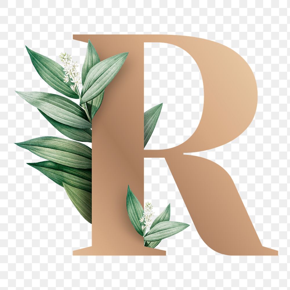 Botanical capital letter R transparent png