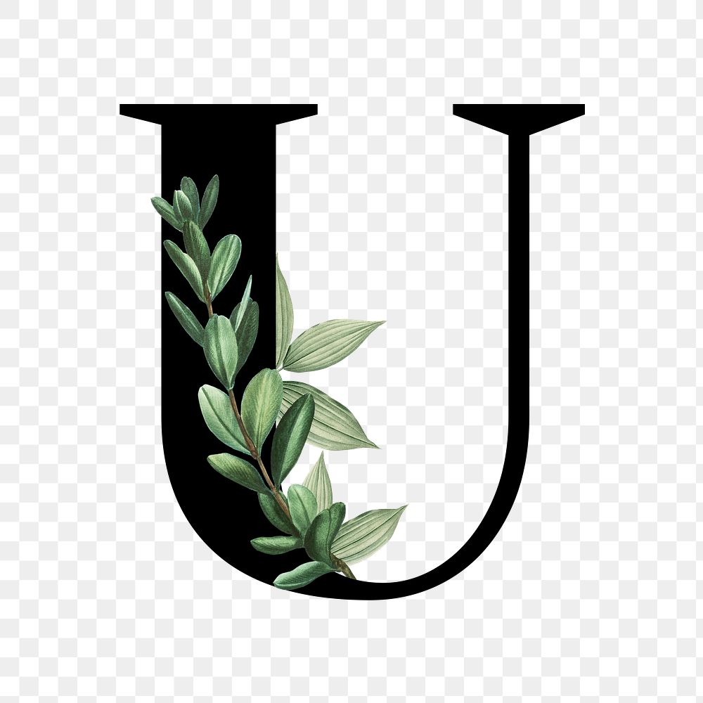uppercase letter u