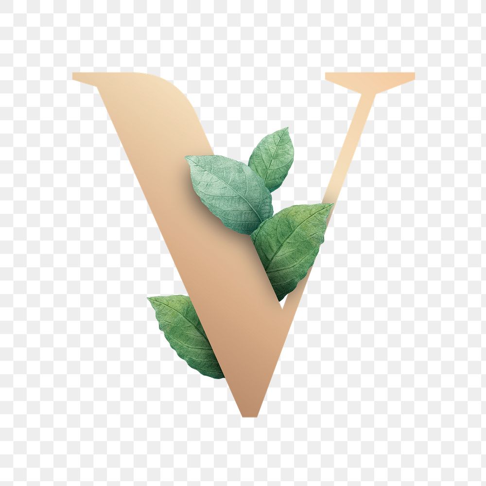 Botanical capital letter V transparent png