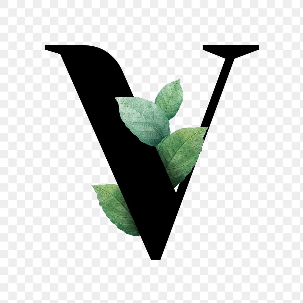 Botanical capital letter V transparent png