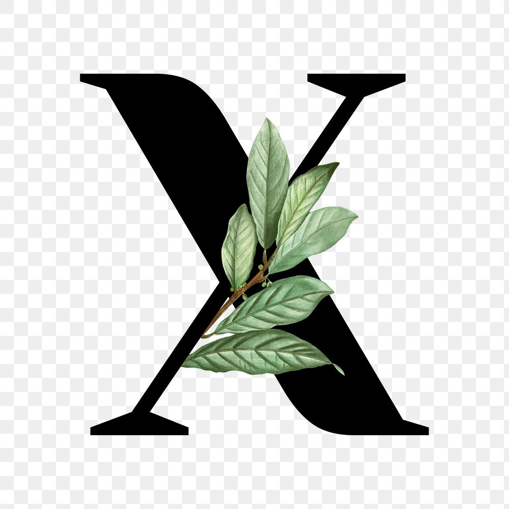 Botanical capital letter X transparent png