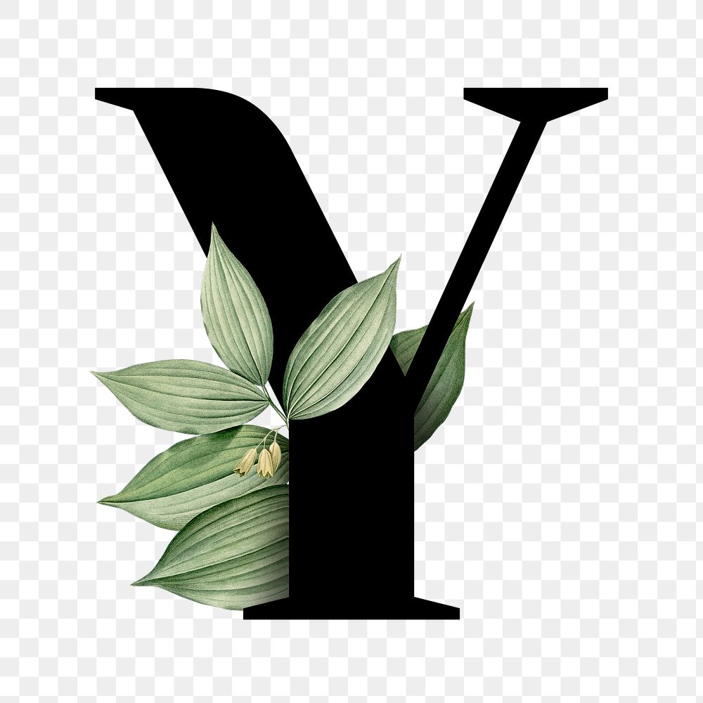 Botanical capital letter Y transparent png